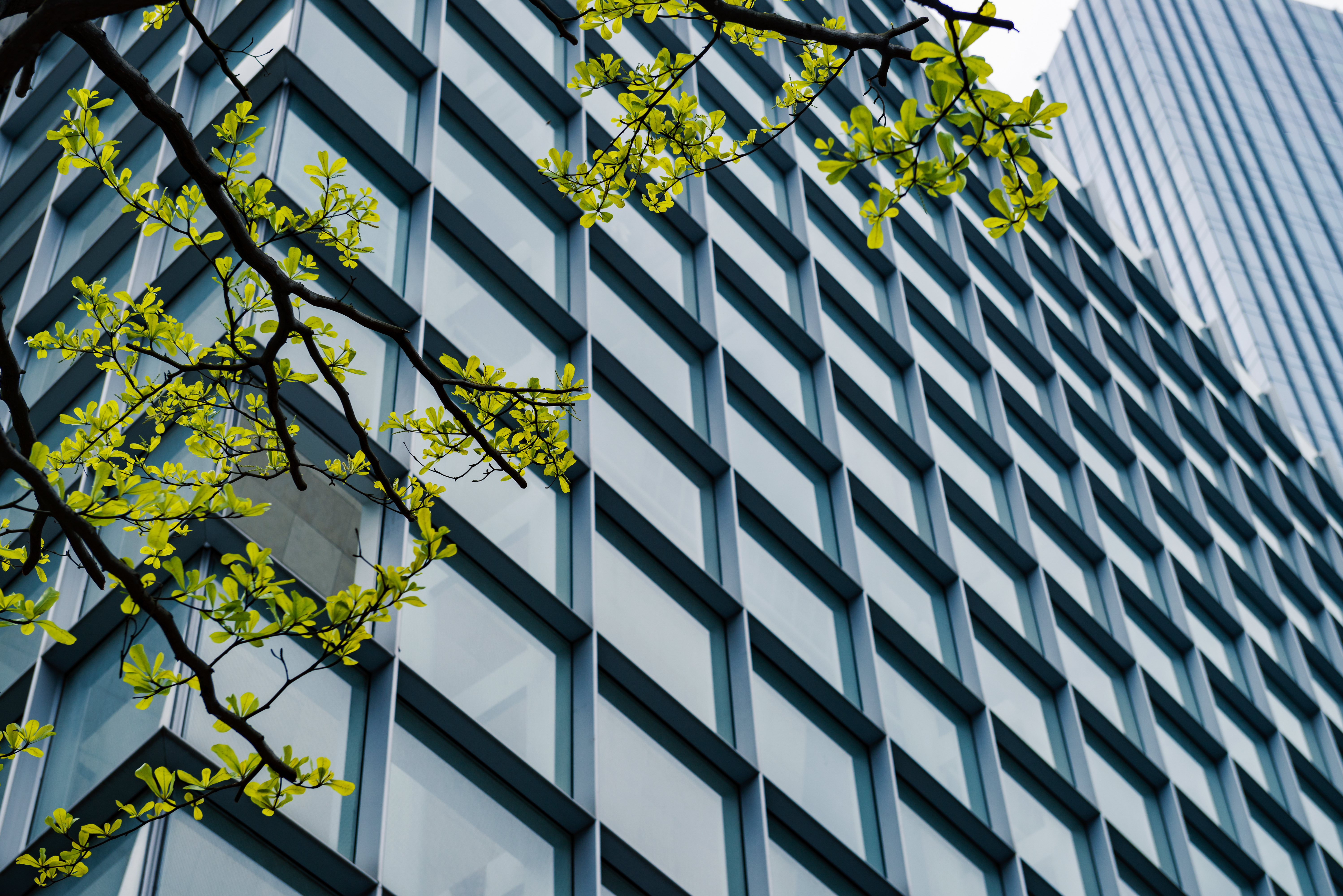 上海挪华威认证有限公司分支机构名称、地址及其业务范围