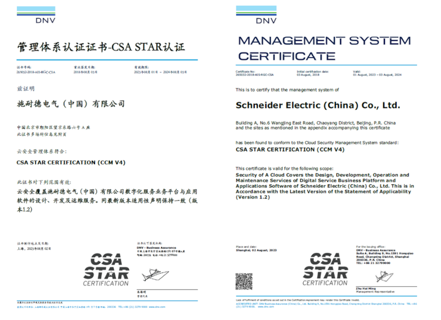 BAG_CN_Case_Schneider