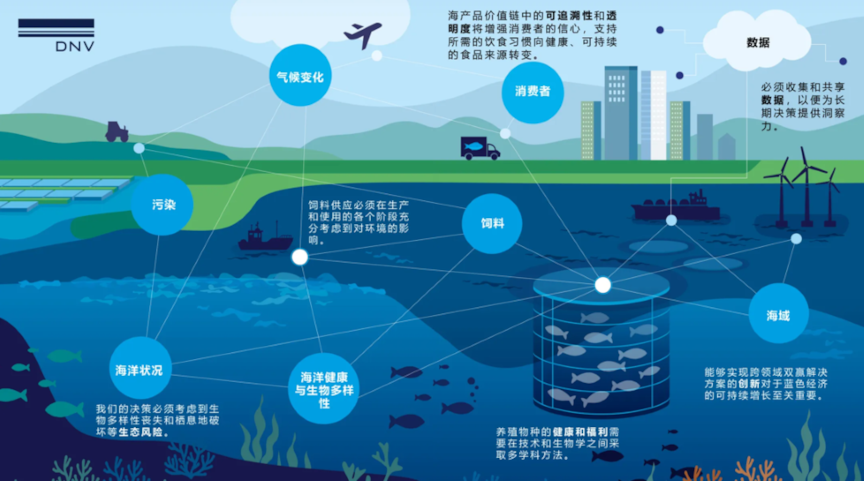 The importance of sustainable fishing - 1 -1000x557