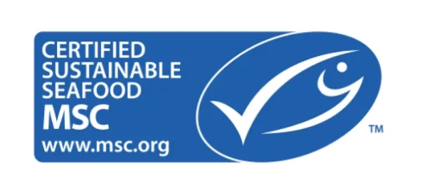 The importance of sustainable fishing - 2 -600x268