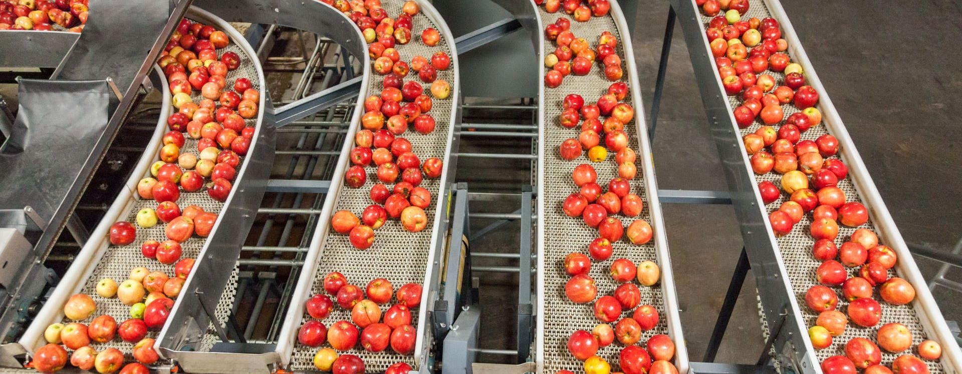 干净且新鲜的苹果