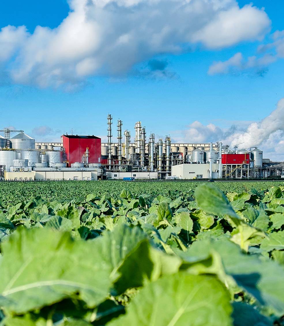 Ethanol refinery