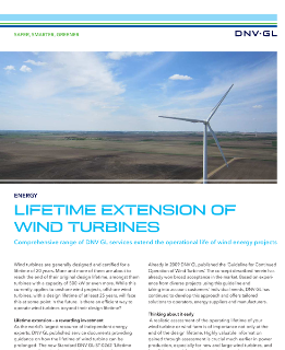 Lifetime extension of wind turbines