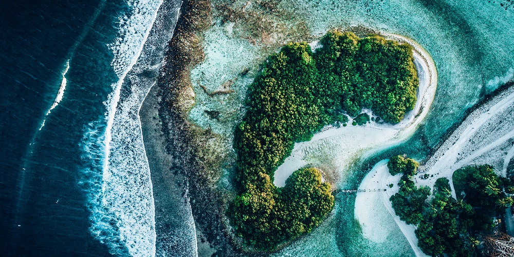 生物多样性与共存