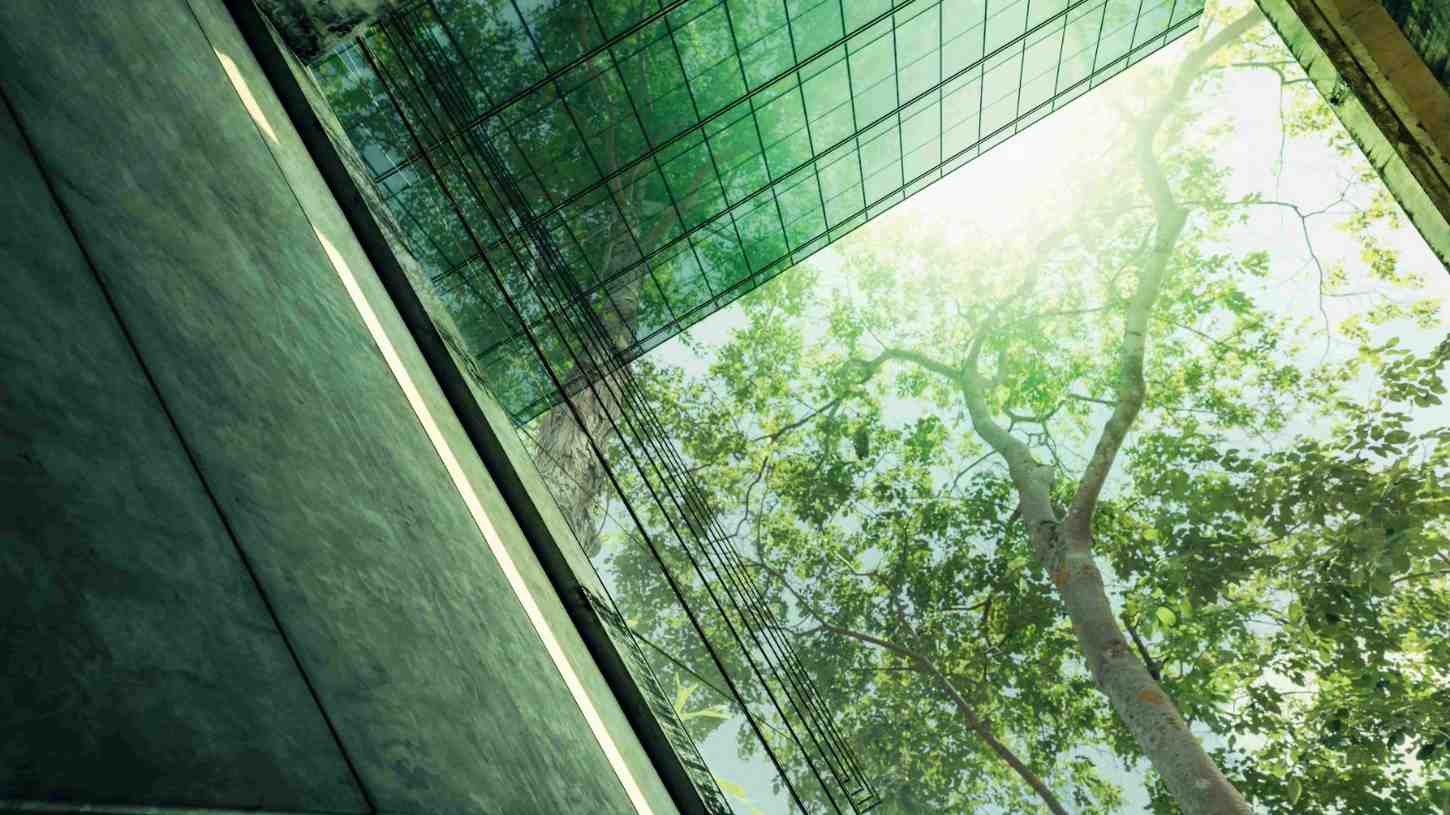 ISO 50001: 能源管理认证
