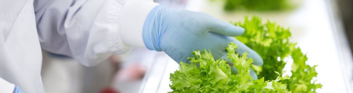 何为食品安全管理体系？