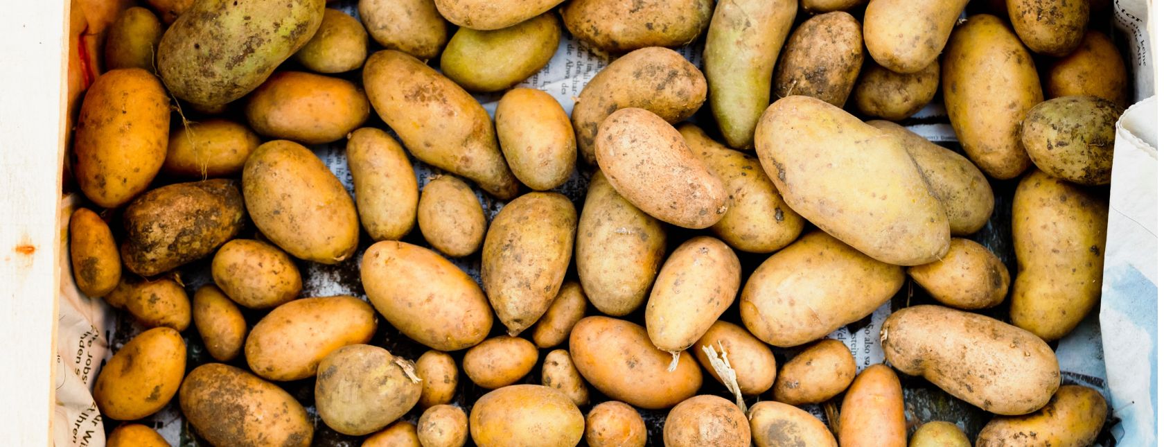 FSSC 22000 第6版认知课程