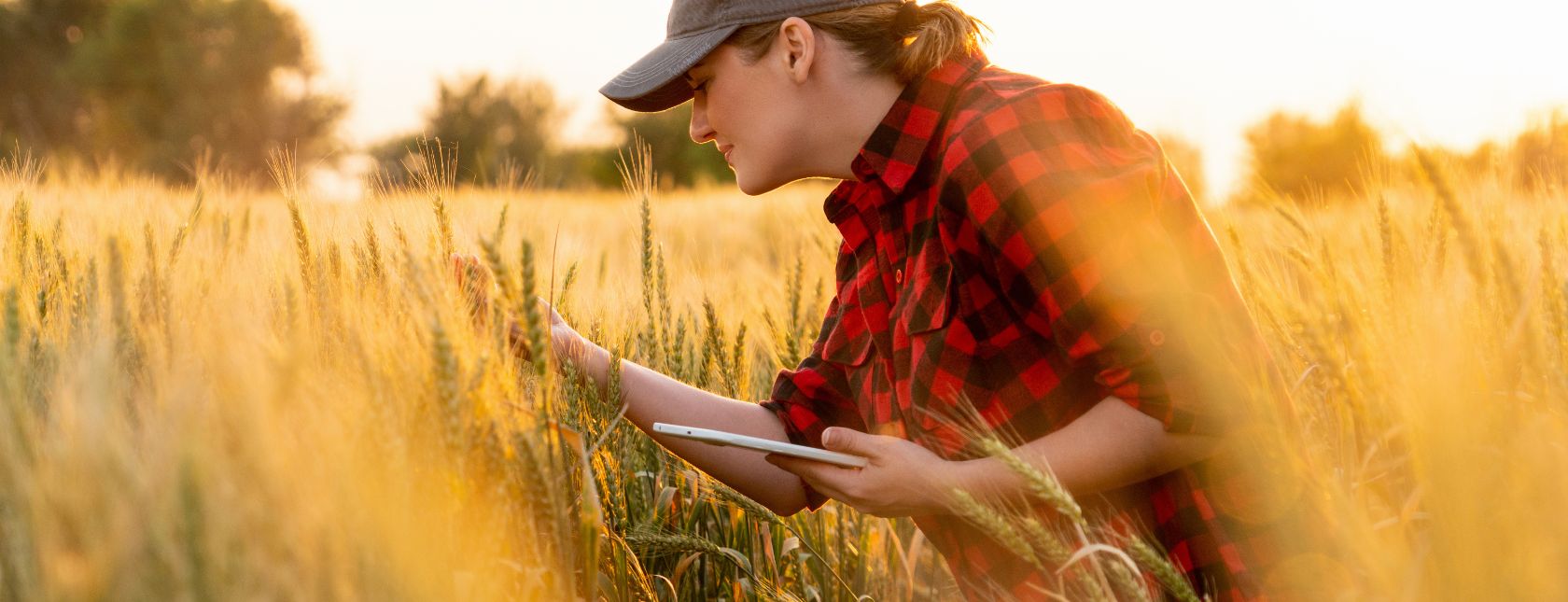 ISO 22000:2018 食品安全管理体系内审核员培训