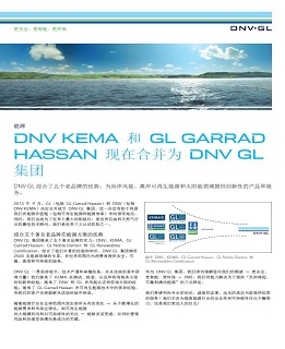 Company Merger (Chinese)