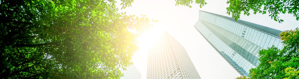 企业可持续发展报告指引(CSRD)