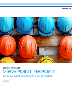 ViewPoint report