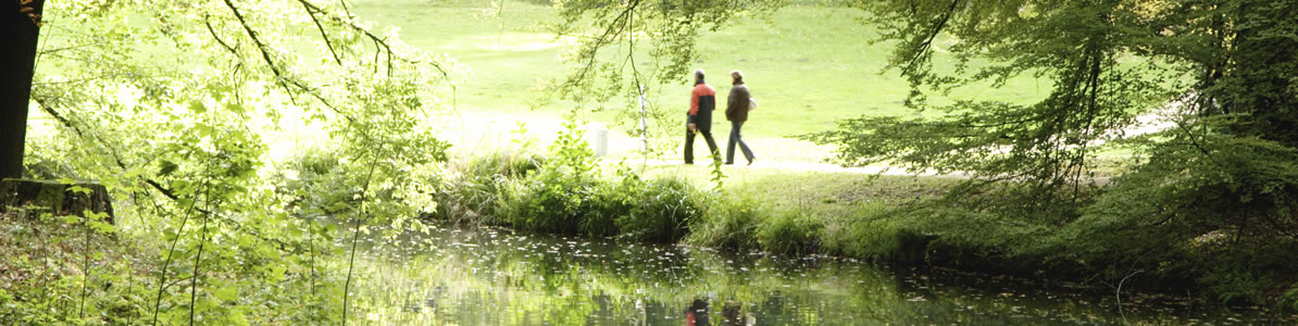 Low emissions development advisory and assurance services