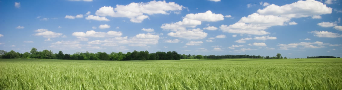 能源和环境政策