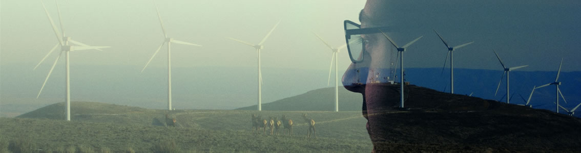 Technology qualification for energy