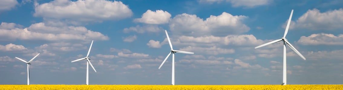 Wind turbine operations support