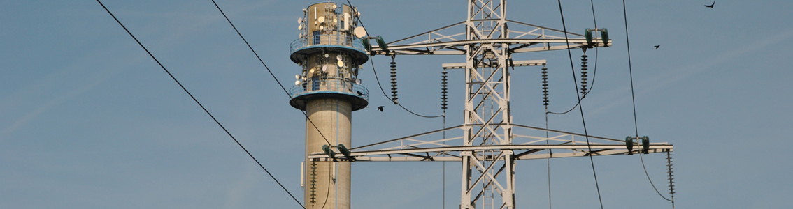 协议标准化和测试