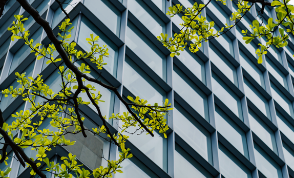 能源、环境管理体系与健康安全培训