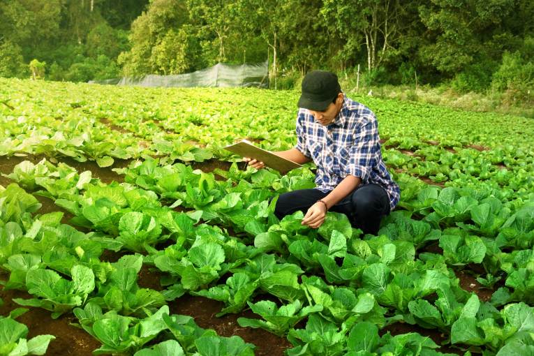 信任的转移：从品牌转向产品