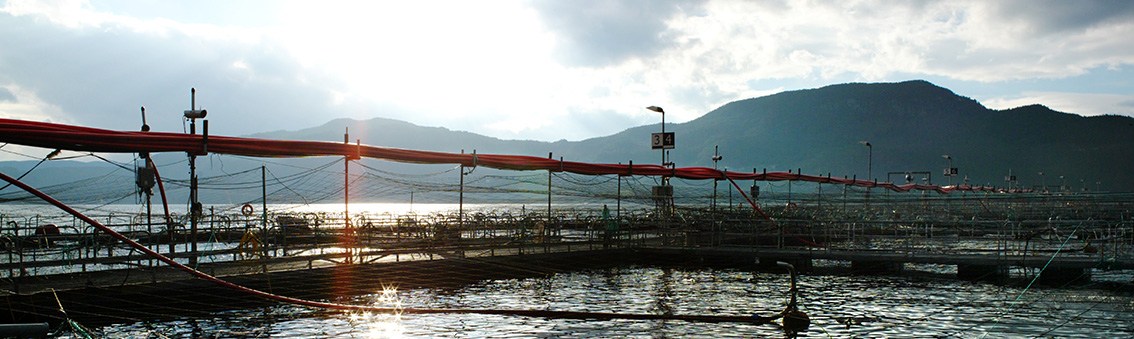 基础设施与农业技术