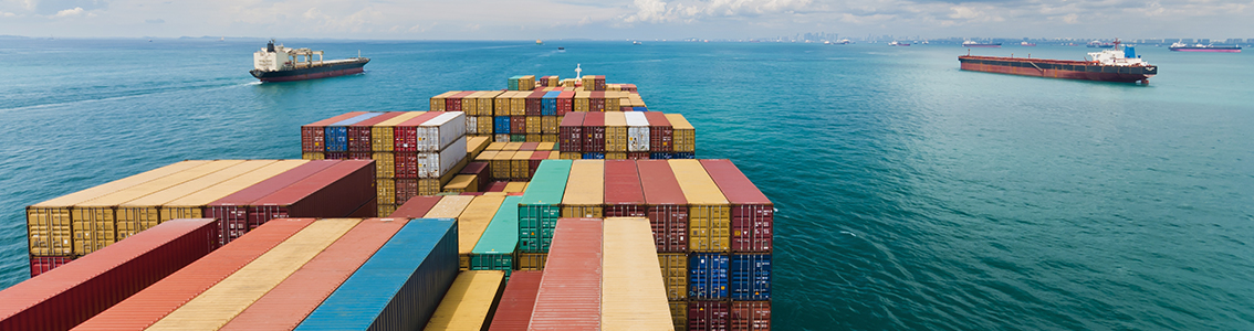 Fleet Management Advisory