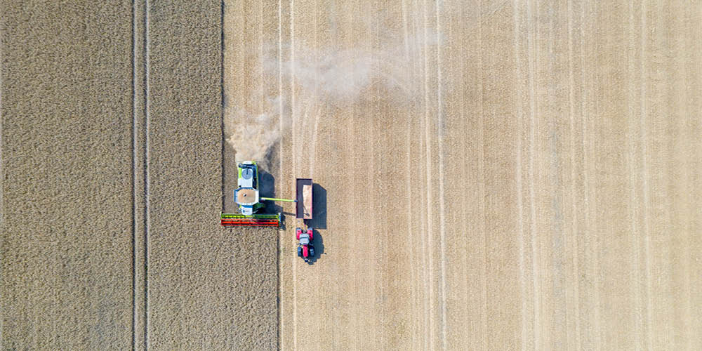 食品安全管理认证