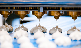 FSSC 22000：食品安全管理体系认证