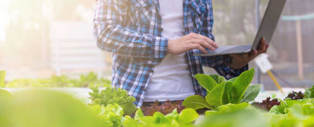 食品饮料行业信息安全