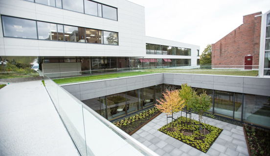 我们的公司治理报告