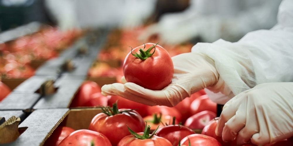 IFS Global Markets - Food (1000 x 500)