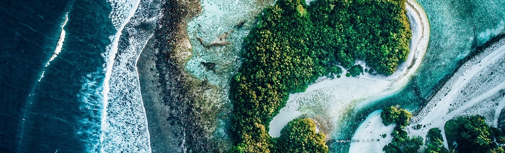 生物多样性与共存