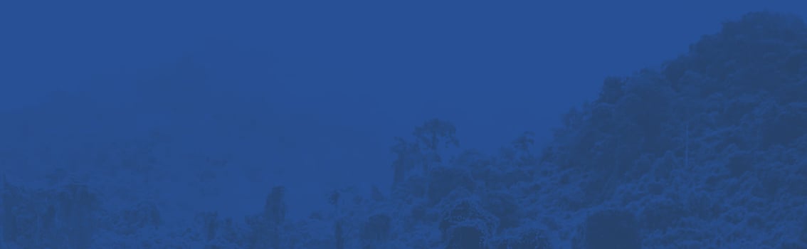 Impact background image