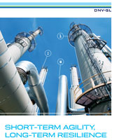 Short-term agility, long-term resilience: The outlook for the oil and gas industry in 2017 (report front cover)