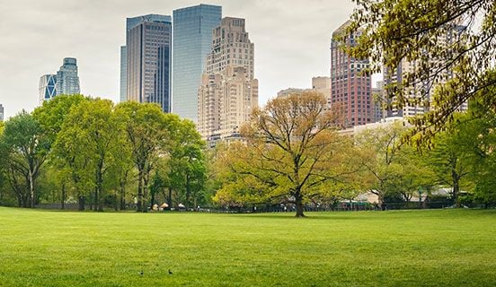 ISO 14001 认证：环境管理体系