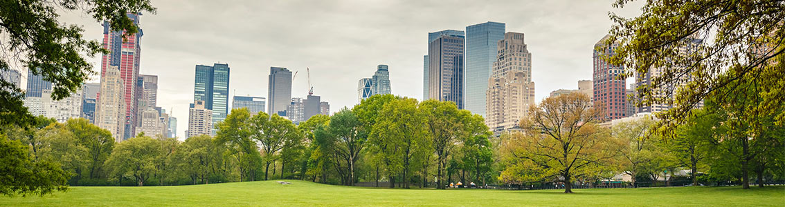 ISO 14001 认证：环境管理体系