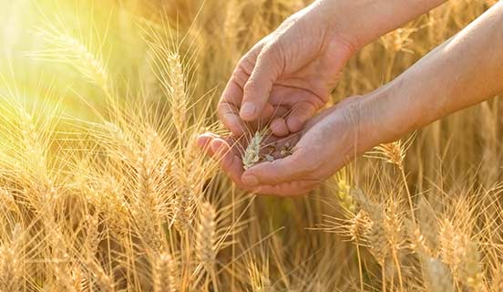 我们的单页、产品手册及出版物（英文）