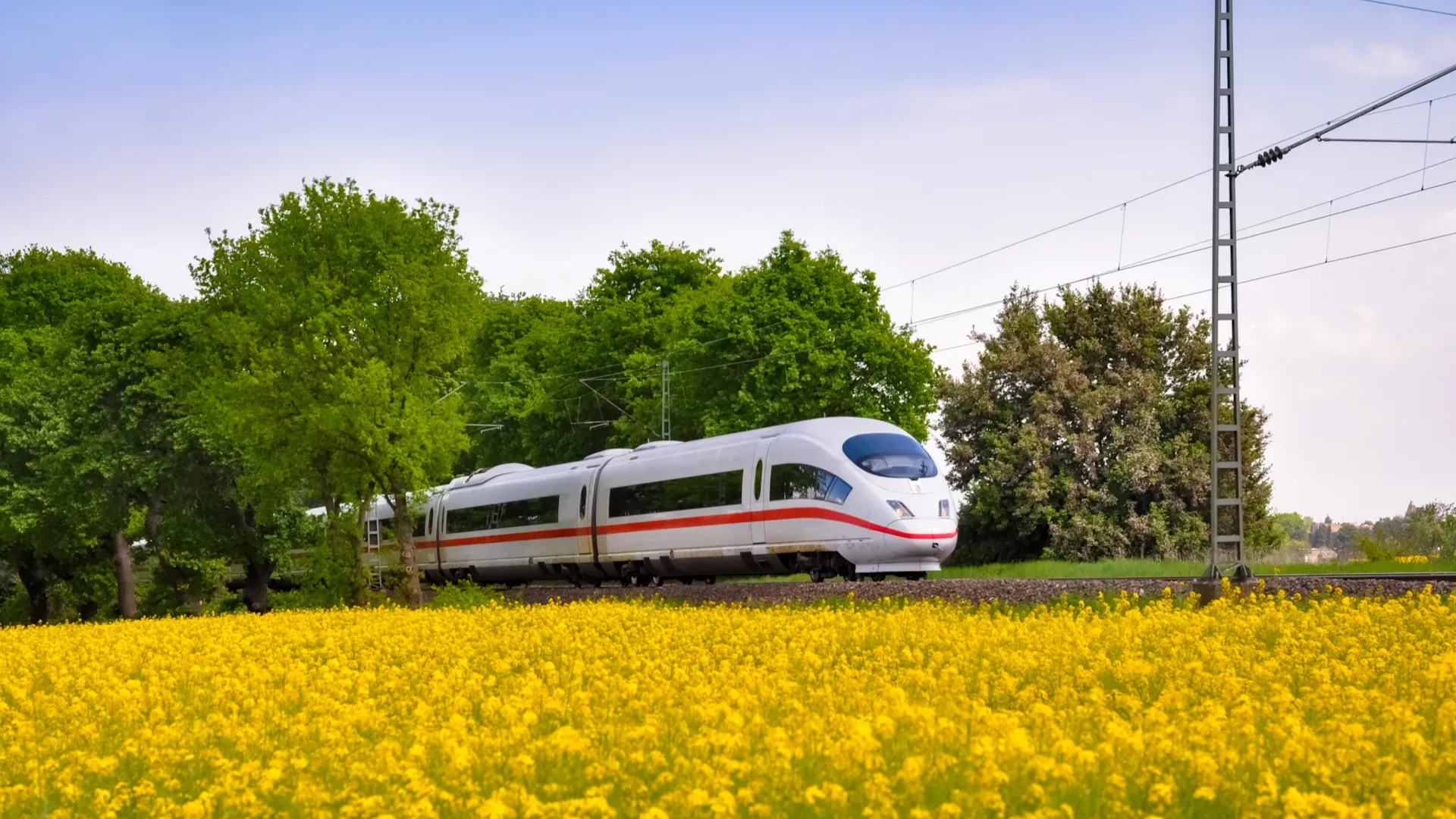 Modern electric train traveling through a field of yellow flowers with green trees in the background.