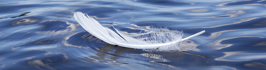 Lightweight Structures