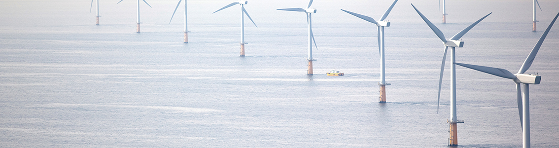 Wind turbine structural integrity measurements