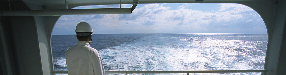 Maritime Labour Convention 2006