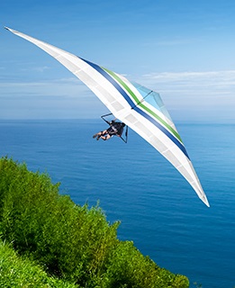 Self-assessment suite 自我评估套件