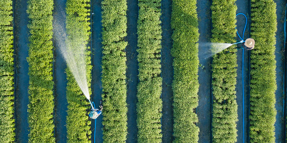 职业健康与安全管理