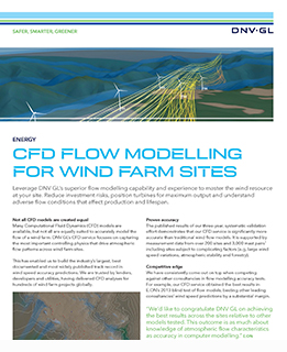 Computational fluid dynamics flyer