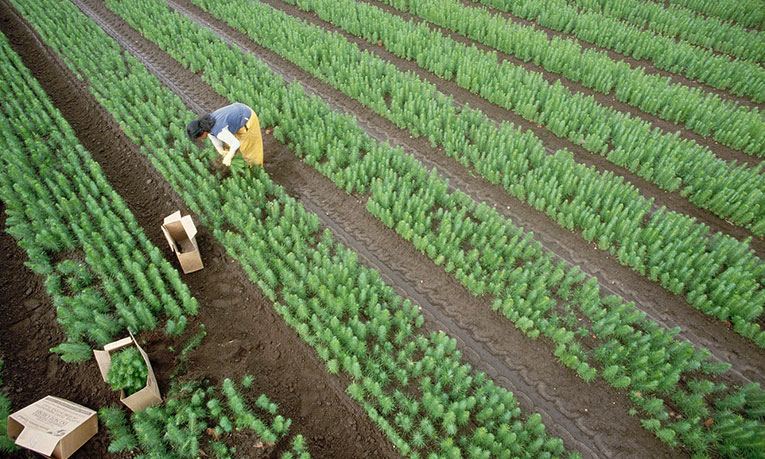 Pathway to net zero emissions