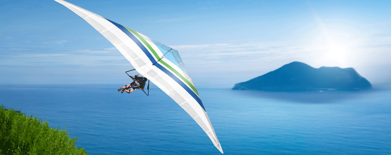 Self-Assessment 自我评估套件