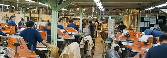 社会与道德管理