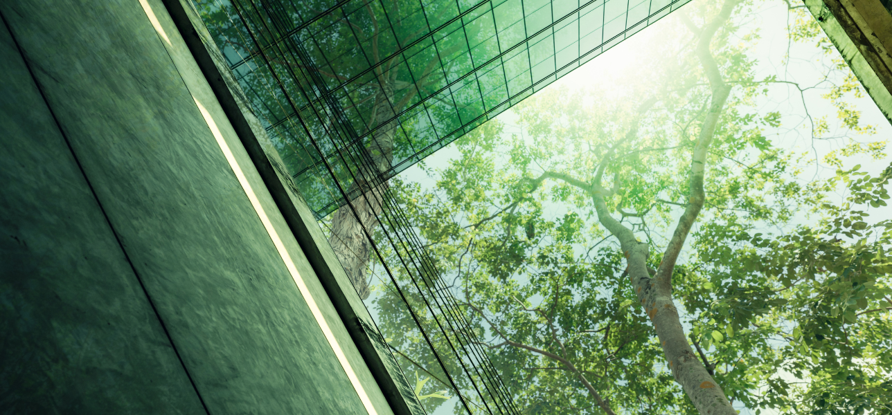 企业是否致力于可持续发展？