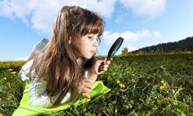 SY-06 Synergi Life company specific reports training