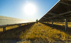 Synergi Electric - Protection 过流保护模块