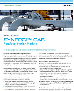 Synergi Gas Regulator Station module flier