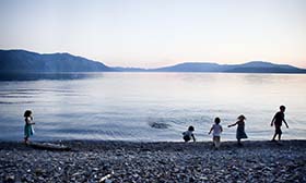 Synergi Life - 环境管理